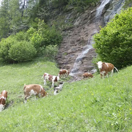 Moharblick 2 * Großkirchheim