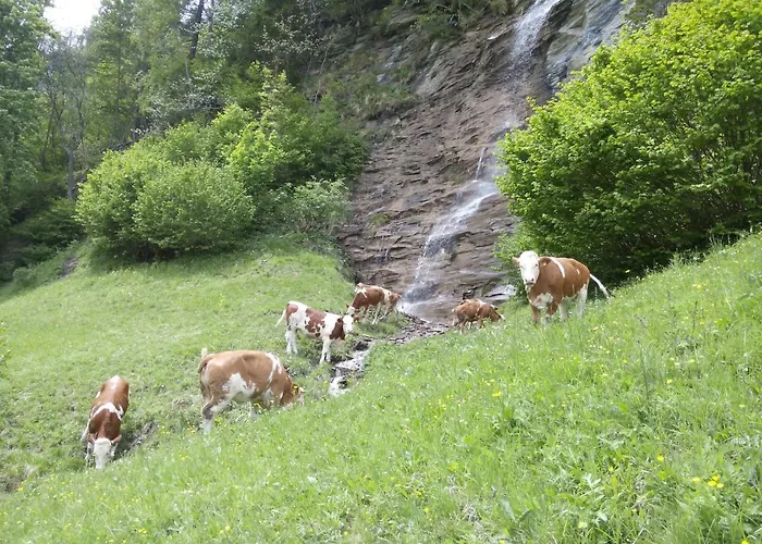 Moharblick 2 * Großkirchheim